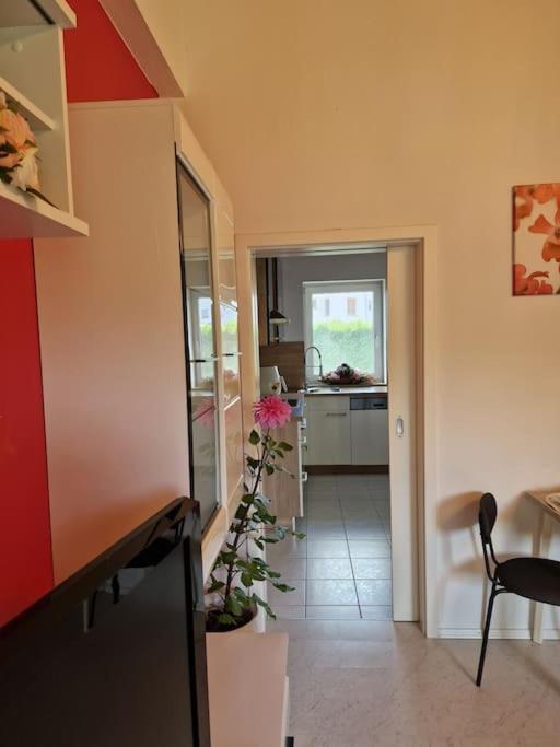 Ferienwohnung Bayernbrise Rohrdorf  Exteriér fotografie